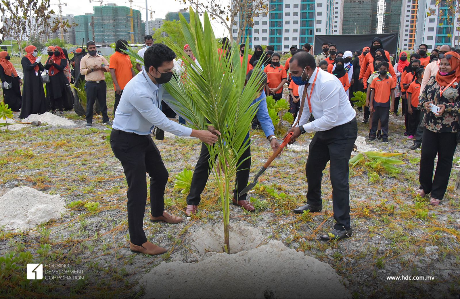 ްއިމާދުއްދީން ސޮކޫލ