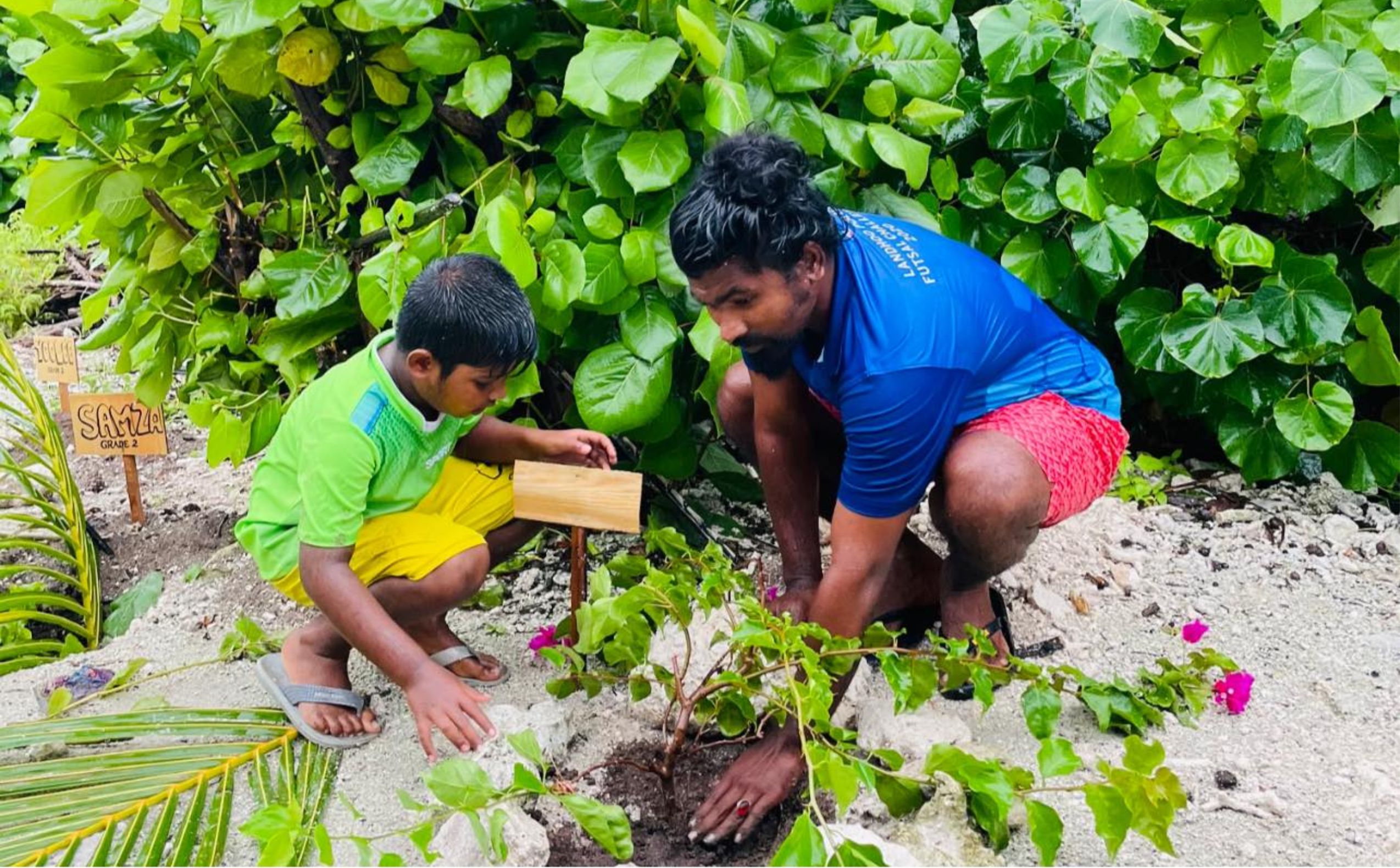 ލަންދޫ ސްކޫލް