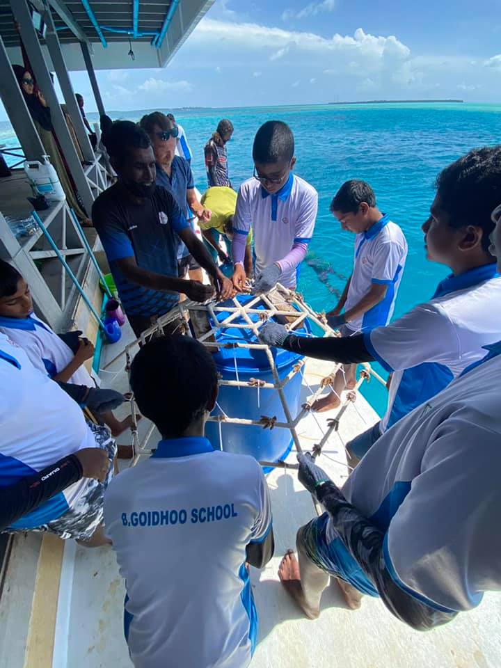 ގޮއިދޫ ސްކޫލް