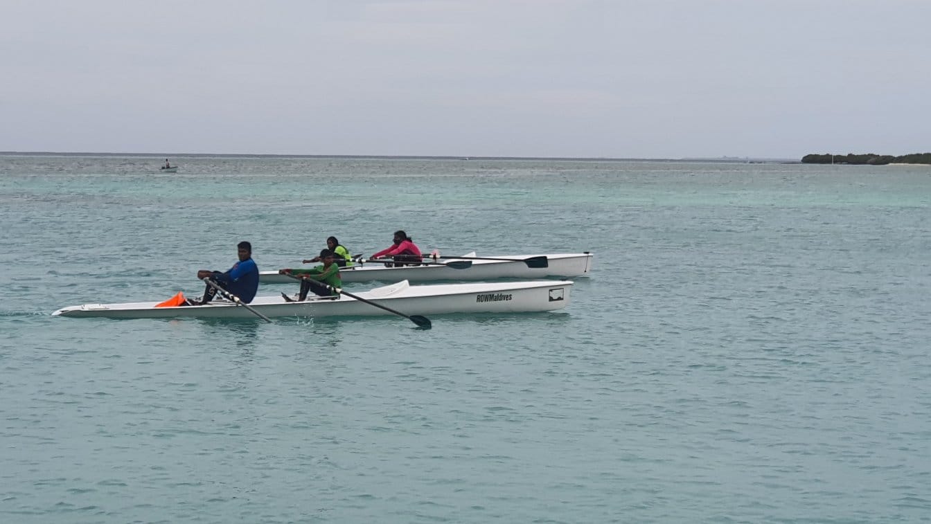 ރޯވިން އެސޯސިއޭޝަން