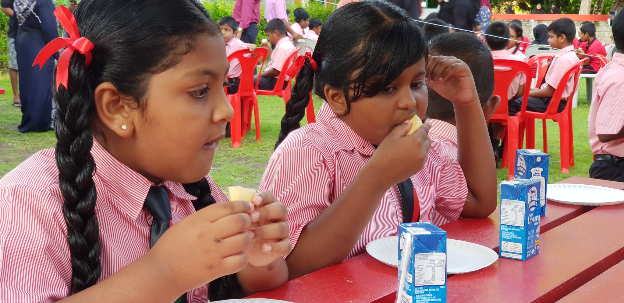 ނާސްތާ ޕްރޮގްރާމް