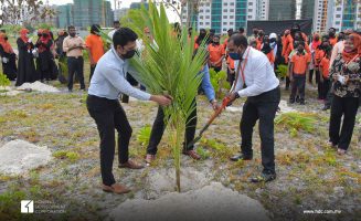 ްއިމާދުއްދީން ސޮކޫލ