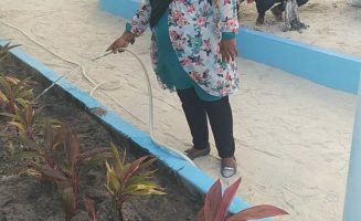 ގަސްއިންދުމުގެ ހަރަކާތުގެ ތެރެއިން. ފޮޓޯ؛ ޅ. އަތޮޅު ތައުލީމީ މަރުކަޒު