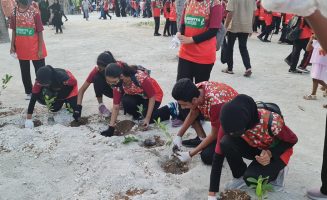 މަޖީދިއްޔާ ސްކޫލްގެ ދަރިވަރުން ހުޅުމާލޭގެ ރުއްގަނޑު ސަރަހައްދުގައި ގަސް އިންދަނީ- ފޮޓޯ: މަޖީދިއްޔާ ސްކޫލް