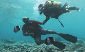 dive