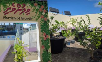 garden hiriya