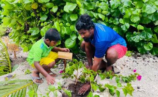 ލަންދޫ ސްކޫލް