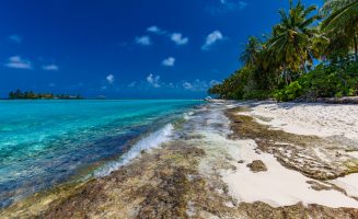 Tropical beach in Maldives with palm trees and vibrant inviting lagoon